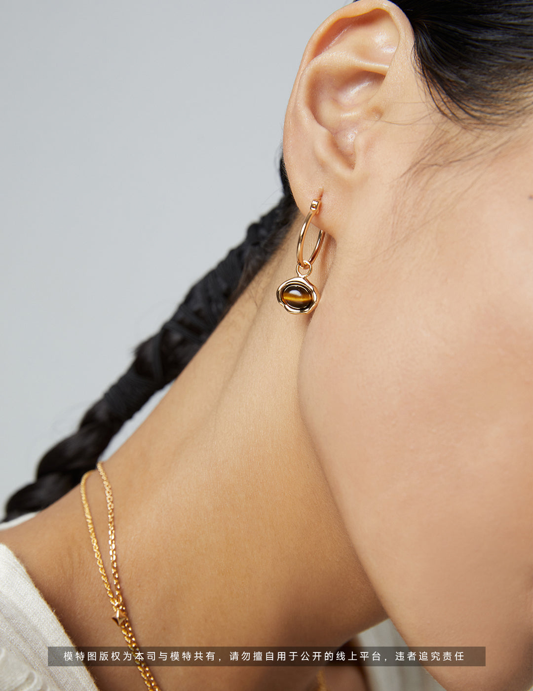 Tiger's Eye Earrings